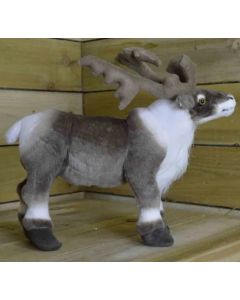 40cm Standing Reindeer
