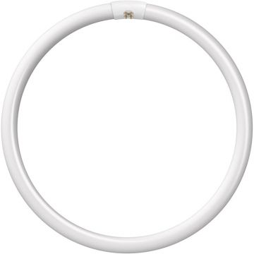 Crompton 60w Circular Flouresent Tube Clear White
