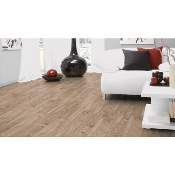 Dynamic Plus 4V Range Bracken Oak Laminate Flooring AC4 - 8mm x 193mm x 1380mm - Pack covers 2.131m2 