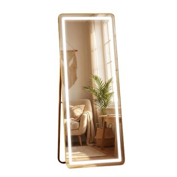 Tara Lane Modena LED Cheval Mirror Gold 160 x 50cm | TL6293