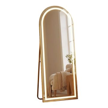 Tara Lane Modena LED Cheval Arch Mirror Gold 160 x 50cm | TL6297