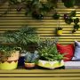 Cuprinol Garden Shades Dazzling Yellow 1l