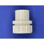 1 1/4" White Waste Access Cap