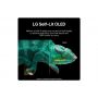LG 55" 4K OLED AI B4 Smart TV - Black | OLED55B46LA