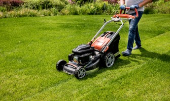 Choosing the Best Lawnmower for your Garden
