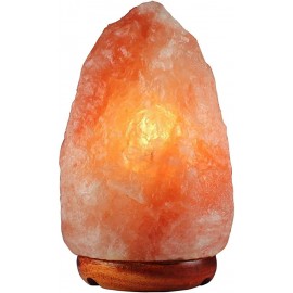 HIMALAYAN Salt Lamp LARGE | PS36