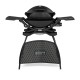 Weber Q2200 Gas Grill Outdoor Garden Barbecue BBQ with Stand | 54010374